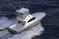 7569-37 Billfish